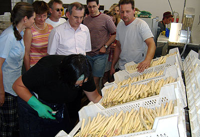 Bild Mannheimer Kochschule